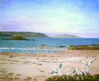 Gaviotas en la playa